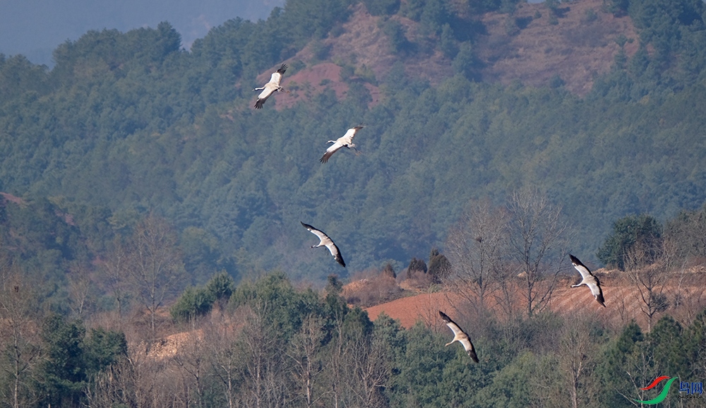 DSCF4980.1.jpg