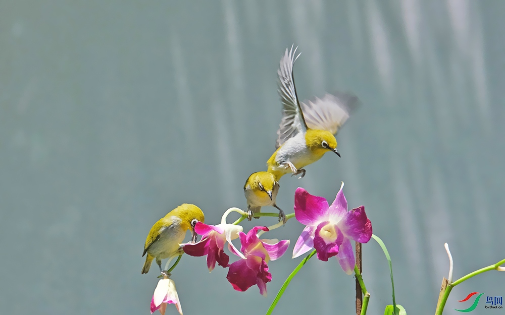 DSCF5088.1.jpg