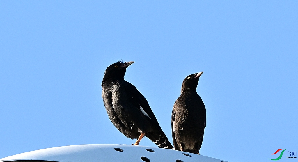 DSC_5958.JPG
