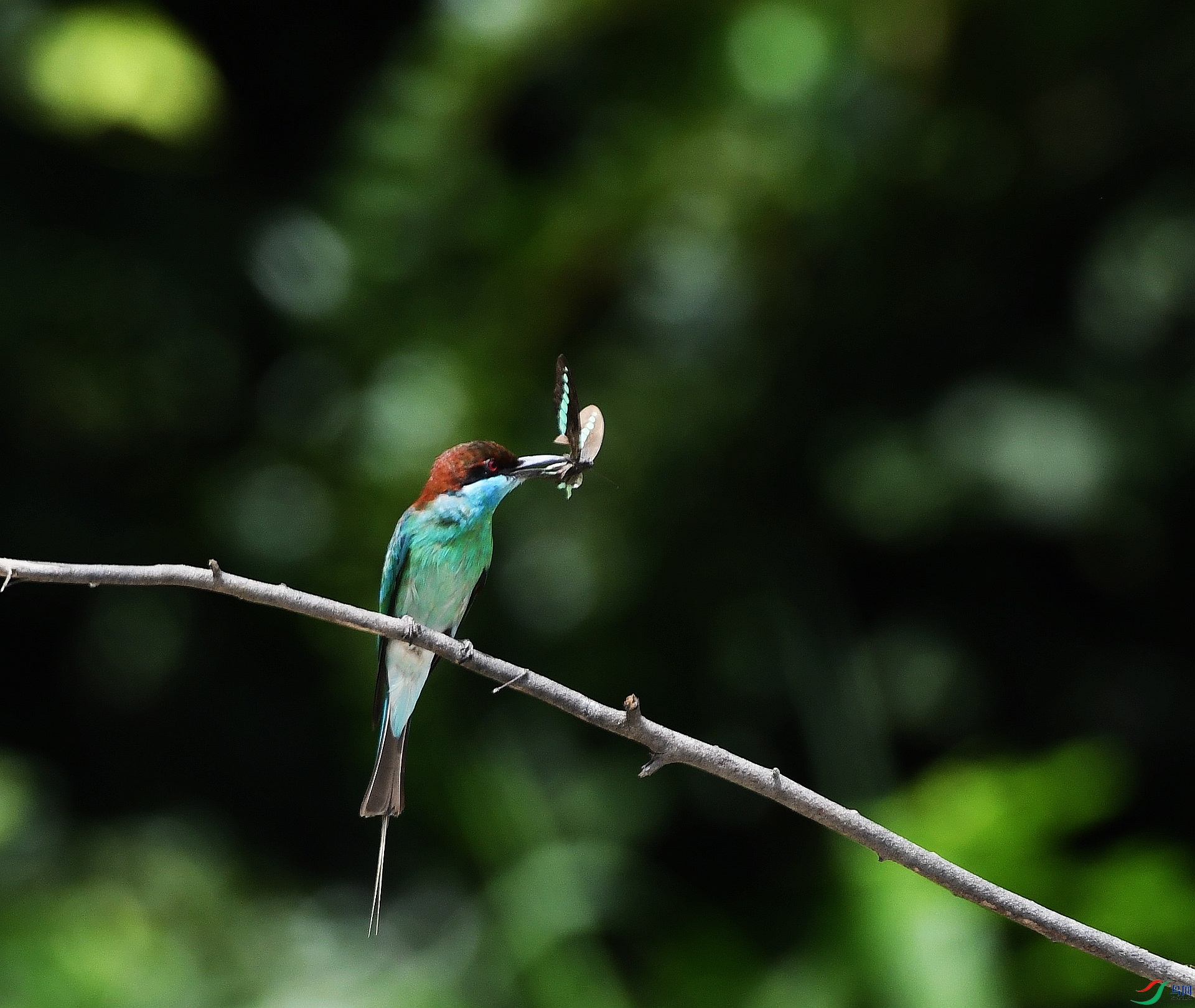 DSC_3187.jpg