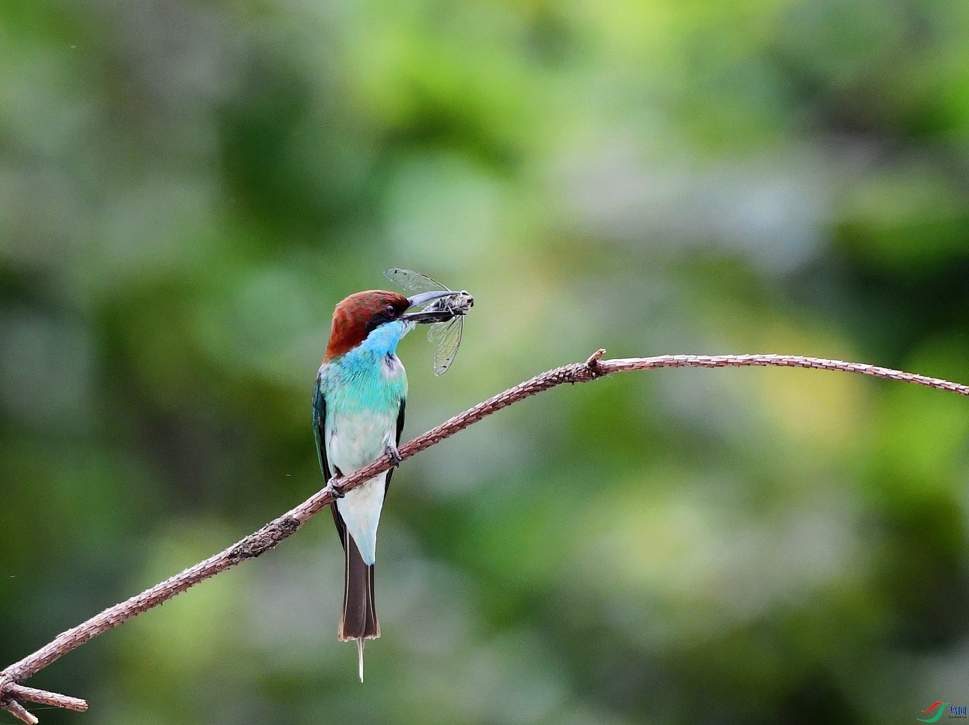 DSC_4861.jpg