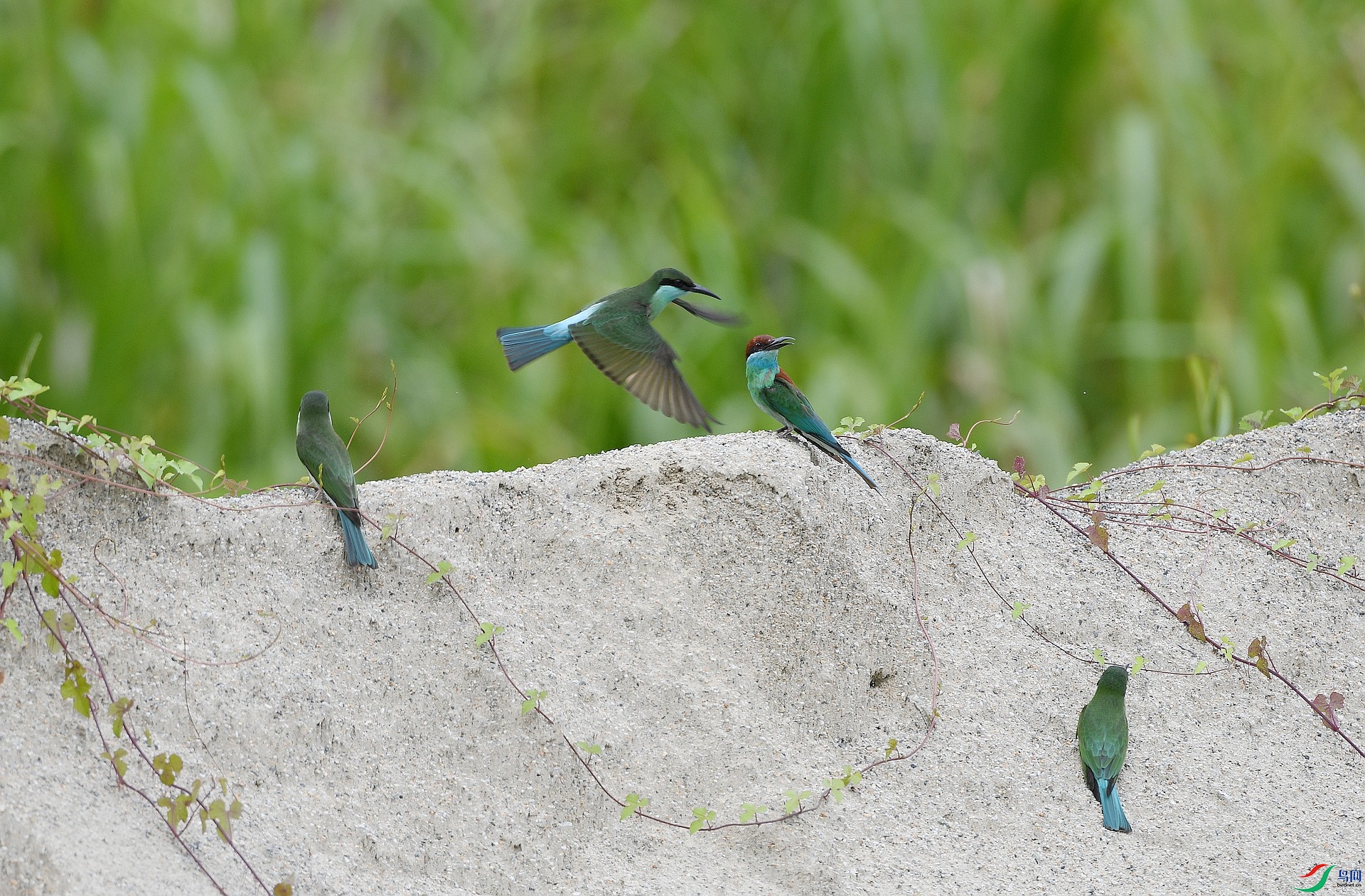 DSC_3155.jpg