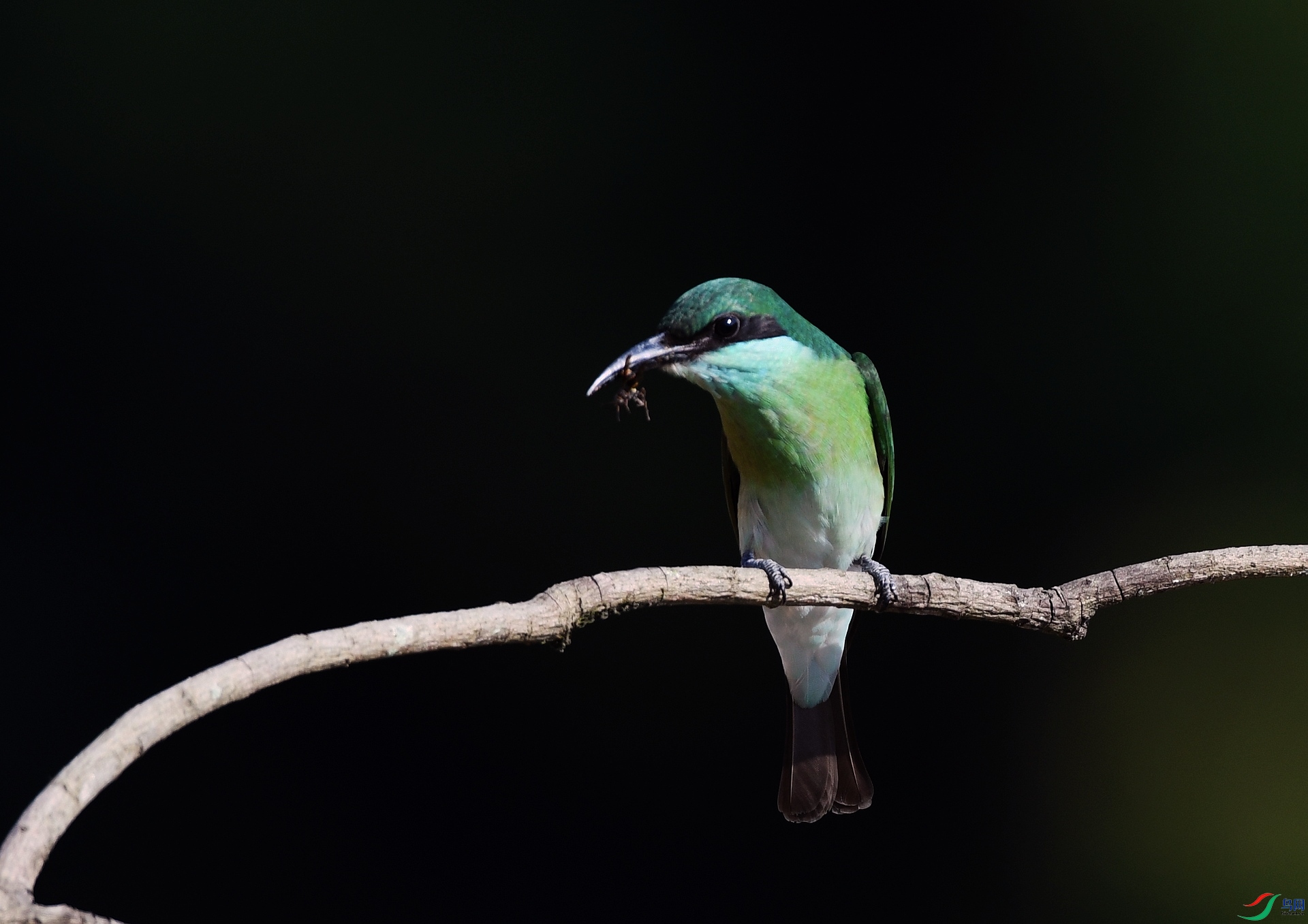 DSC_1598.jpg