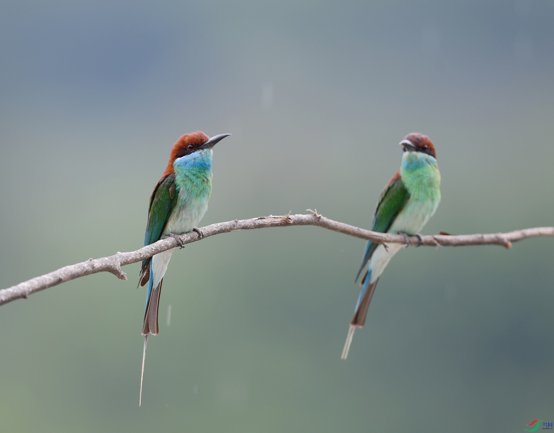 DSC_0536.jpg