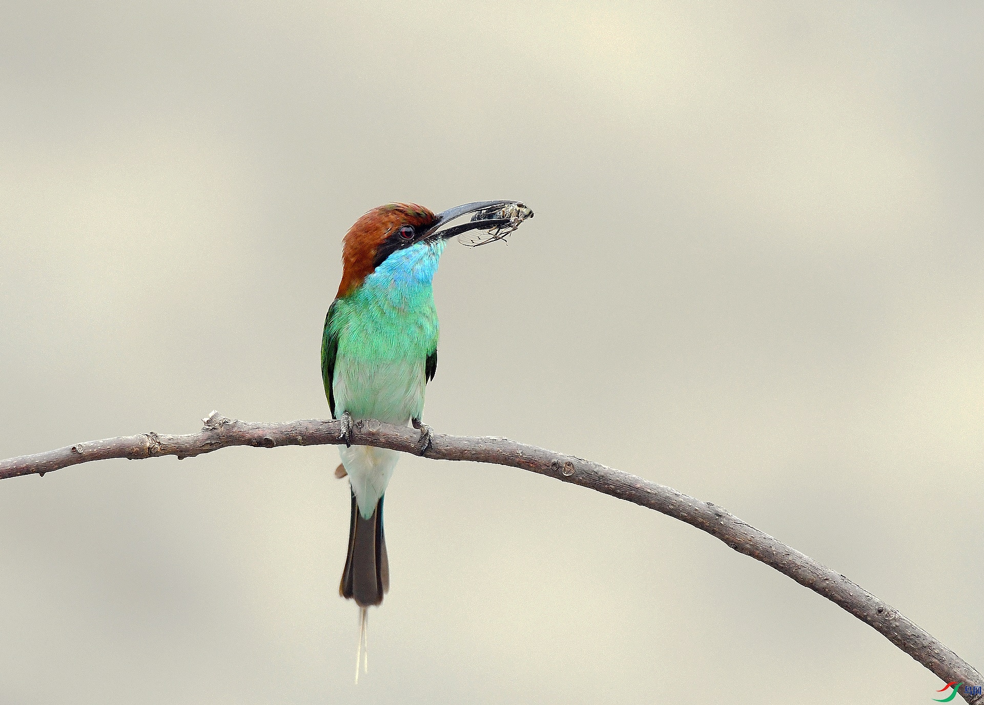 DSC_7477.jpg