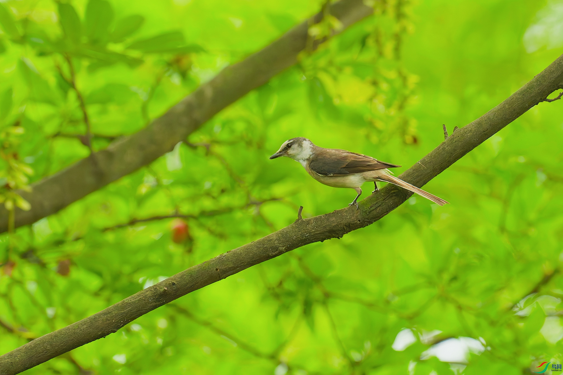 DSC_5507_DxO_DxO.jpga.jpg