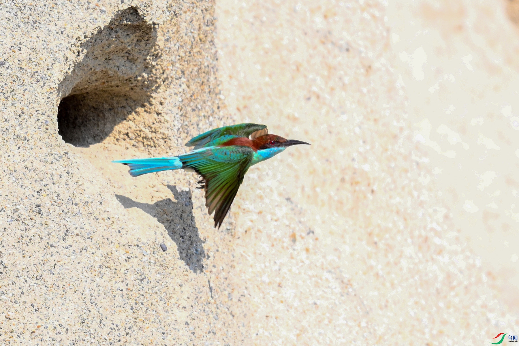 DSC_2626.JPG