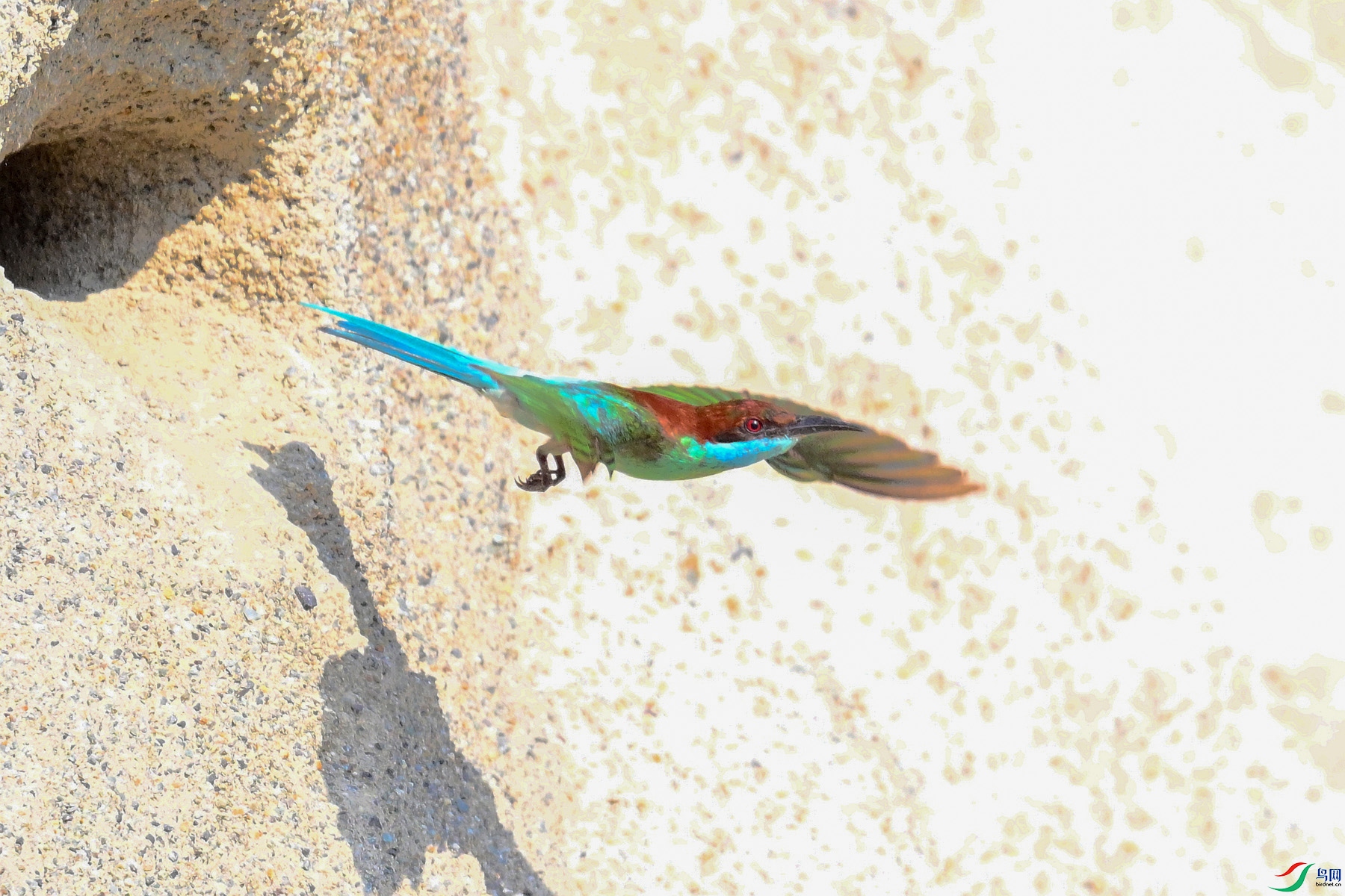 DSC_2627.JPG