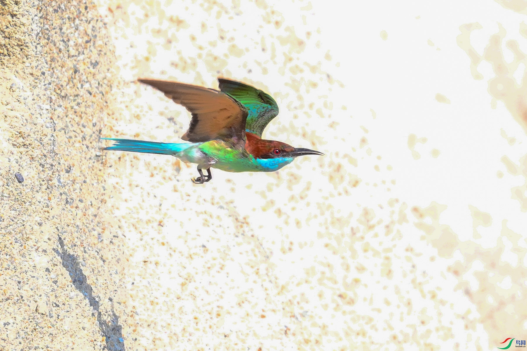 DSC_2628.JPG
