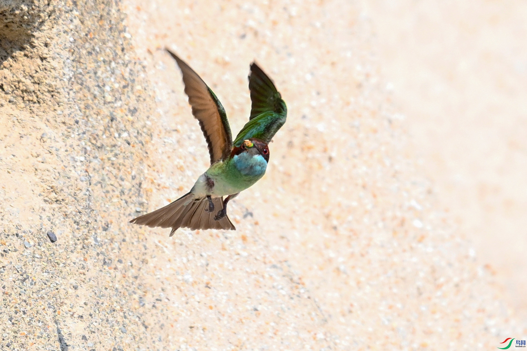 DSC_2661.JPG