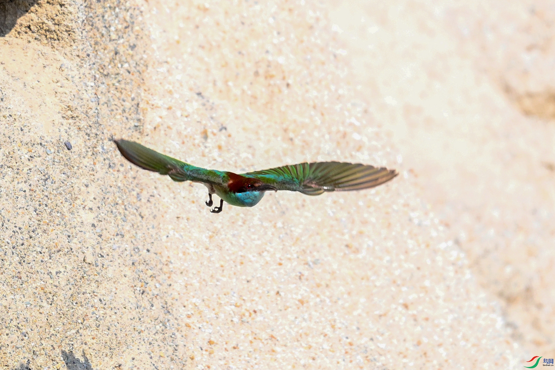 DSC_2671.JPG