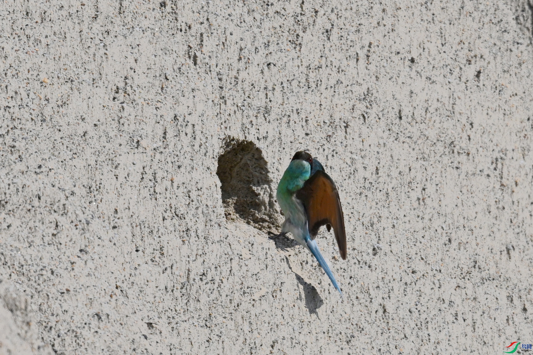 DSC_2676.JPG