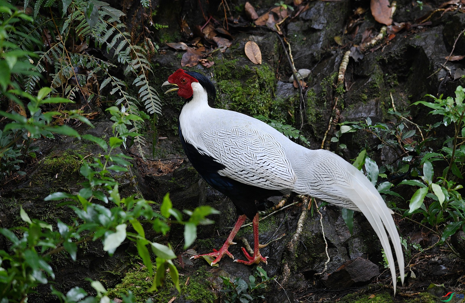 DSC_1348.jpg