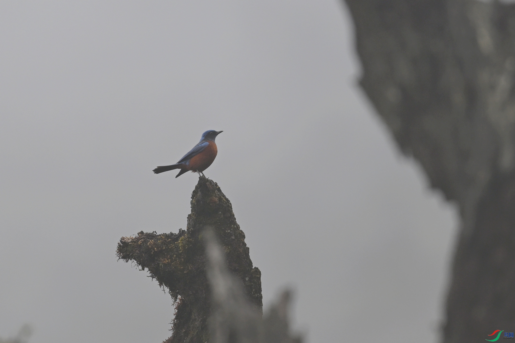 DSC_1957.JPG