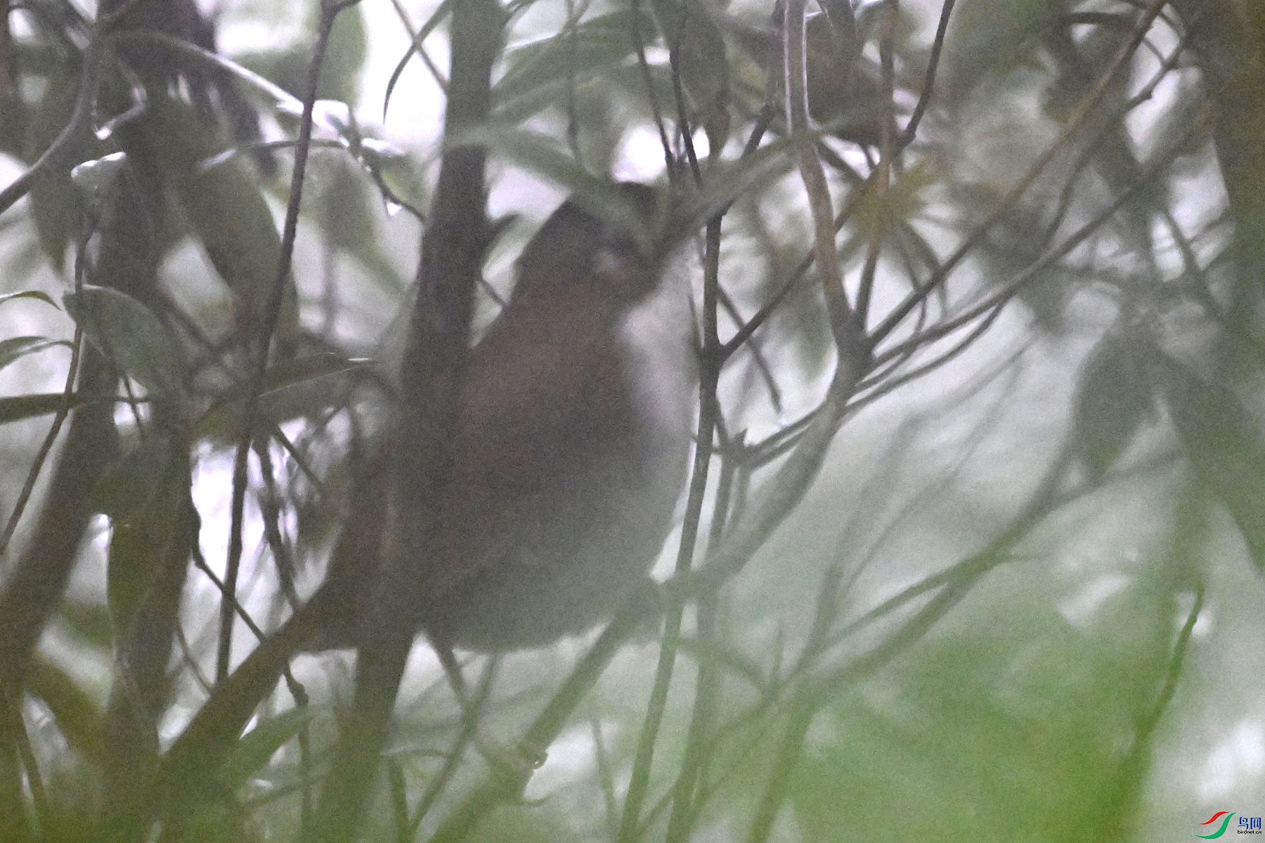 DSC_1922.JPG