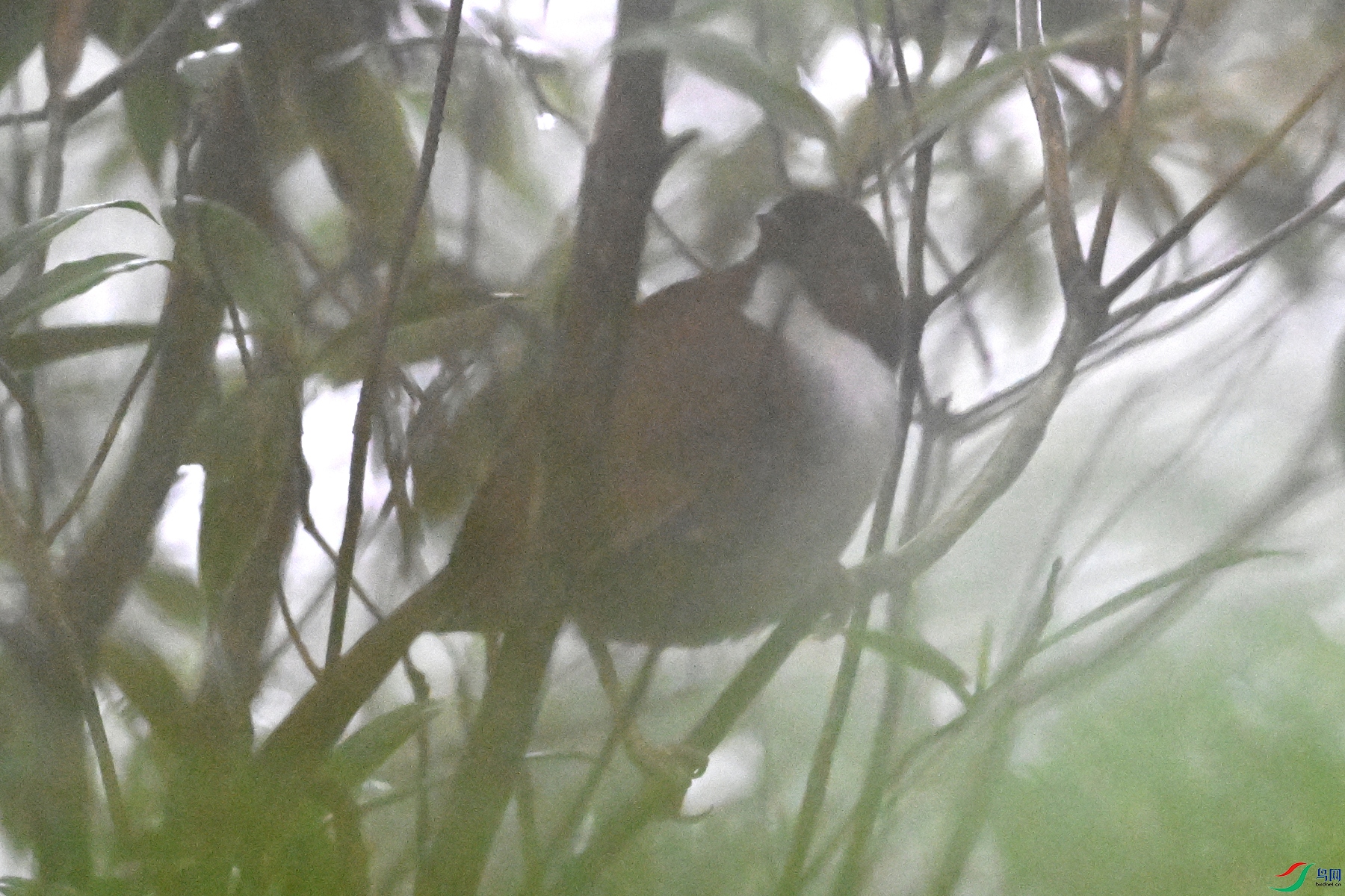 DSC_1924.JPG