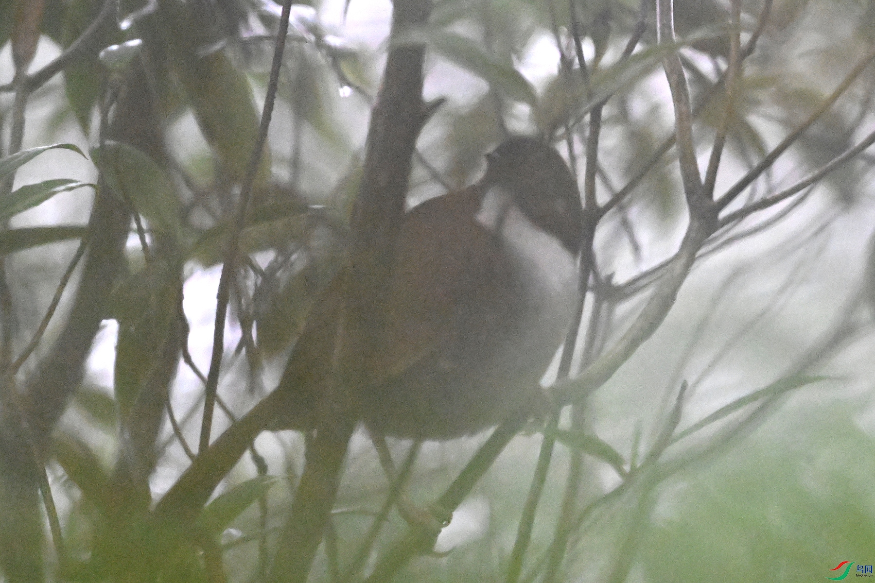 DSC_1925.JPG
