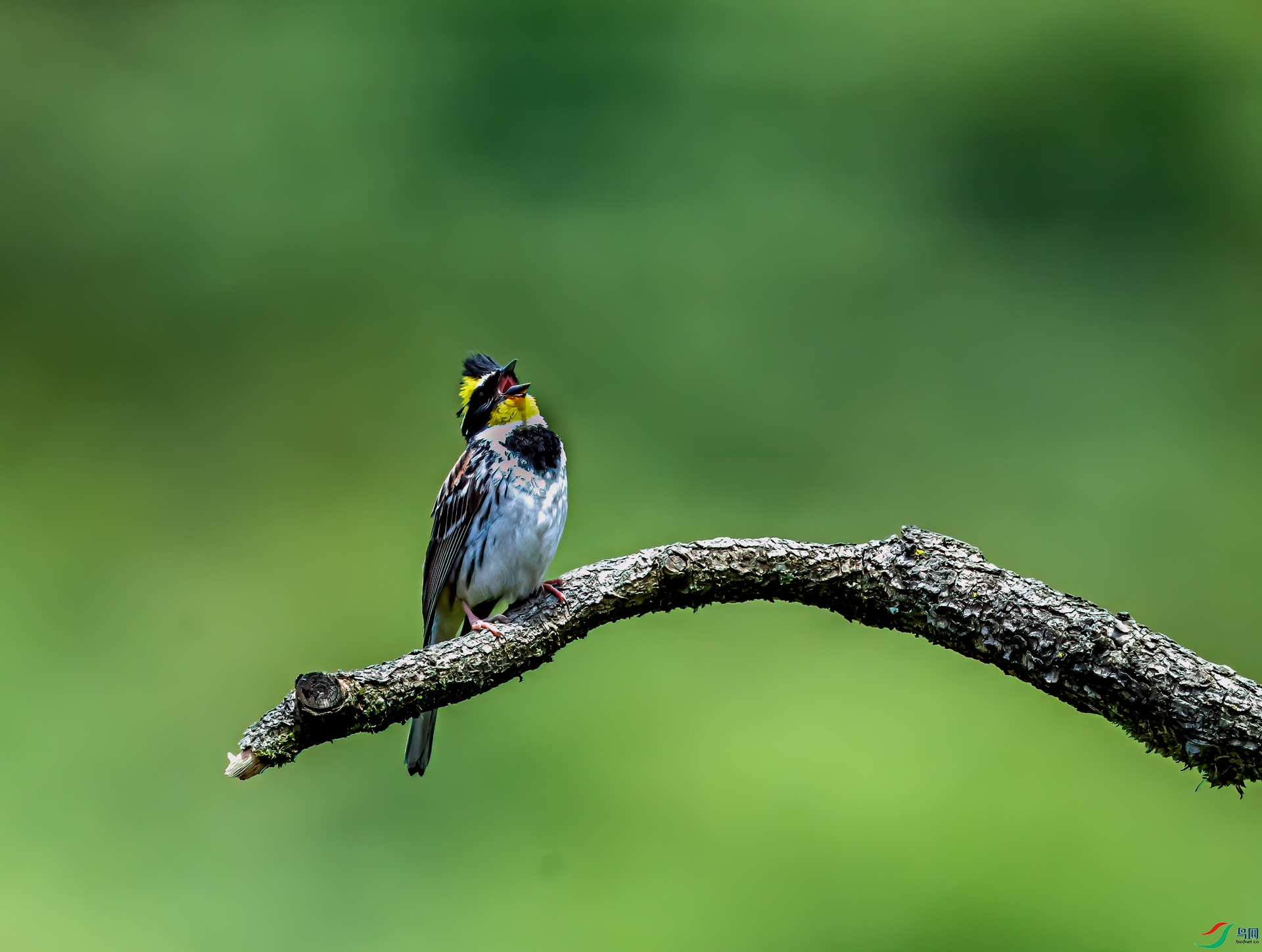 DSC_3127-11.jpg