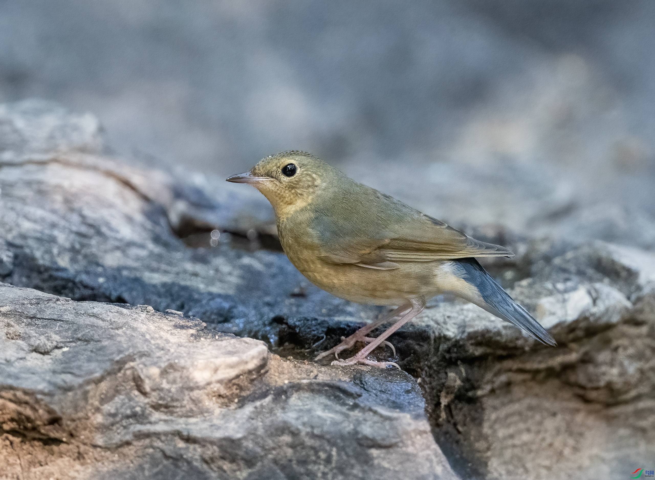 _DSC5665-.jpg