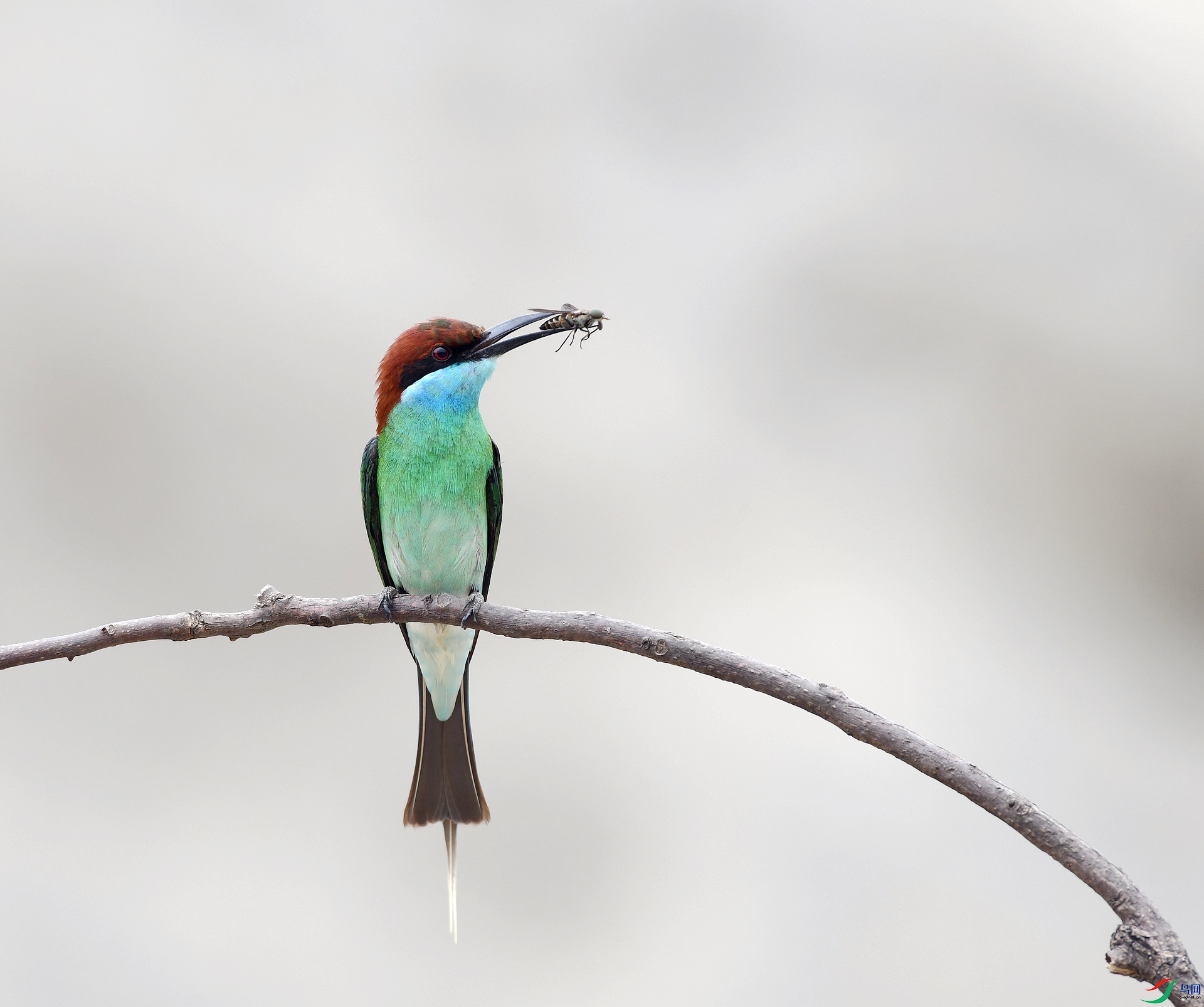 DSC_5430.jpg