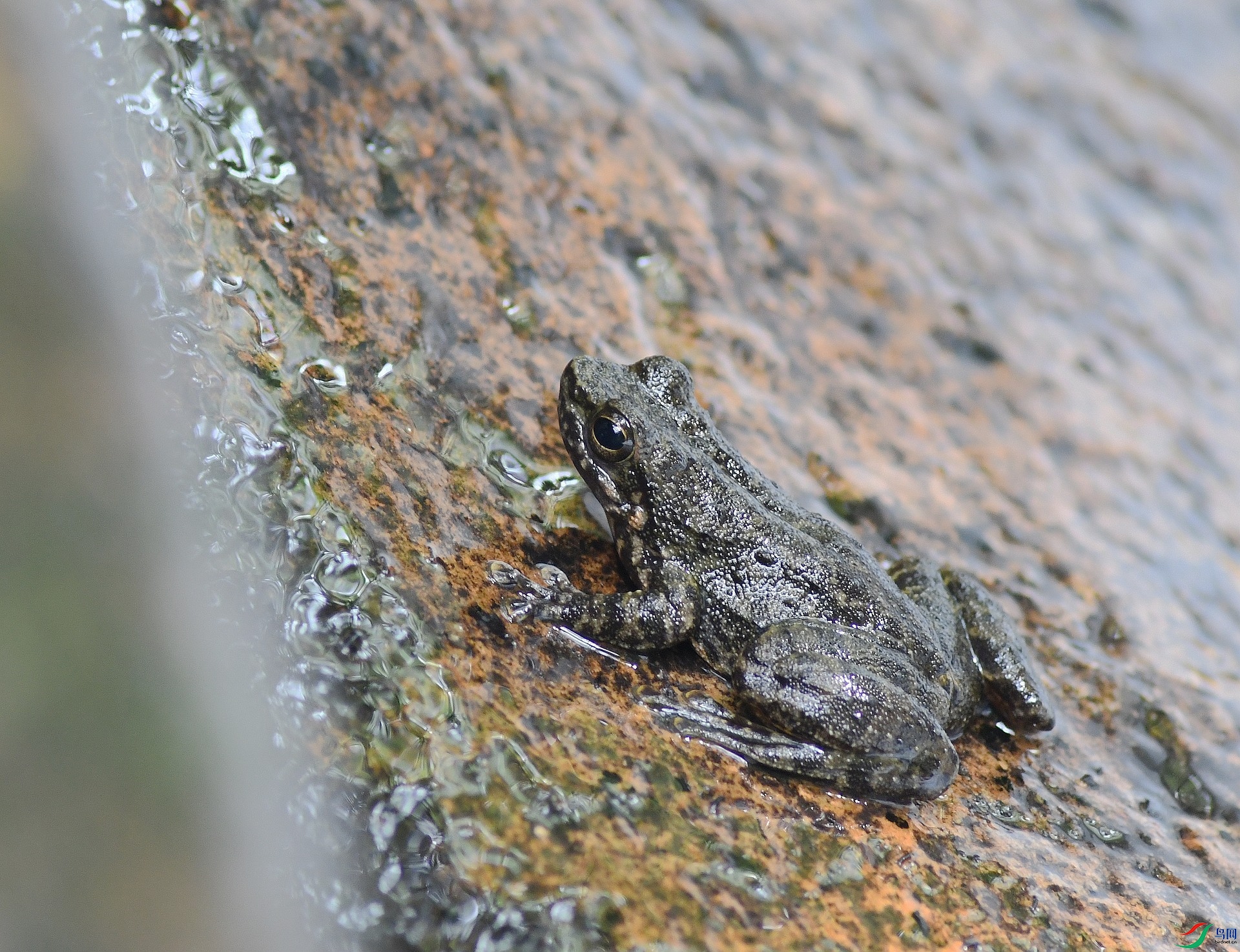 DSC_2432.jpg