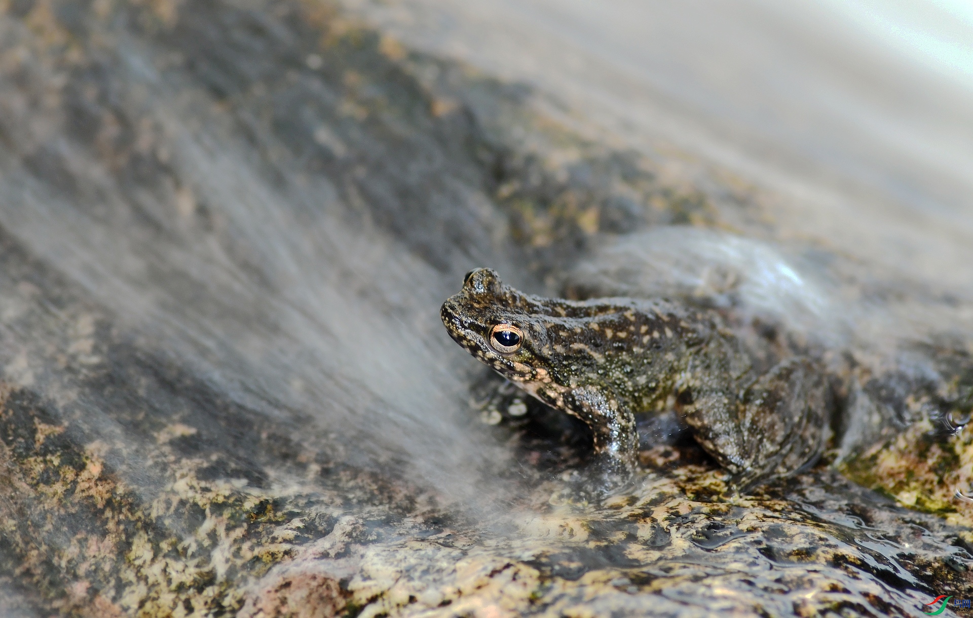 DSC_2418.jpg
