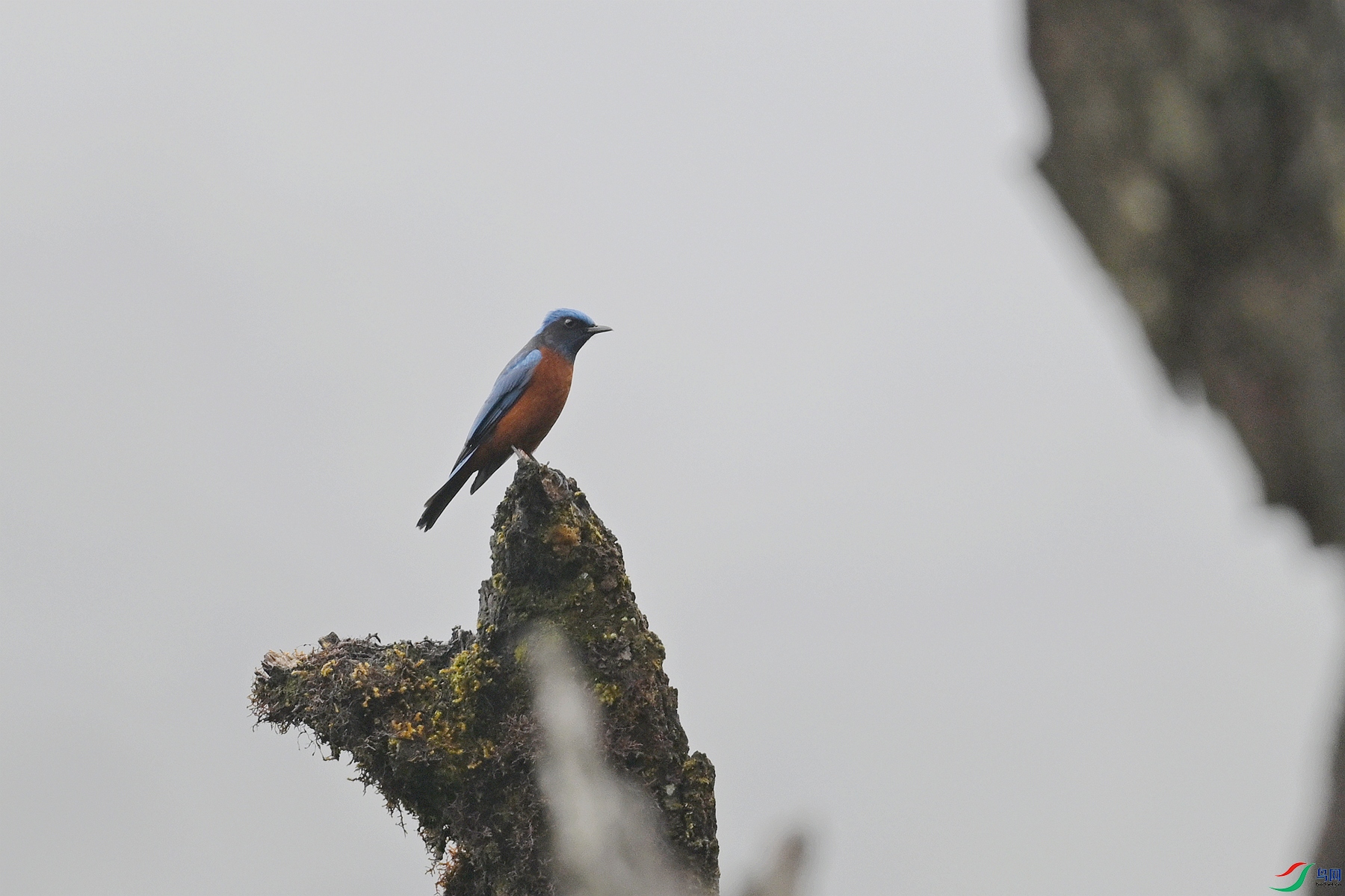 DSC_1963.JPG