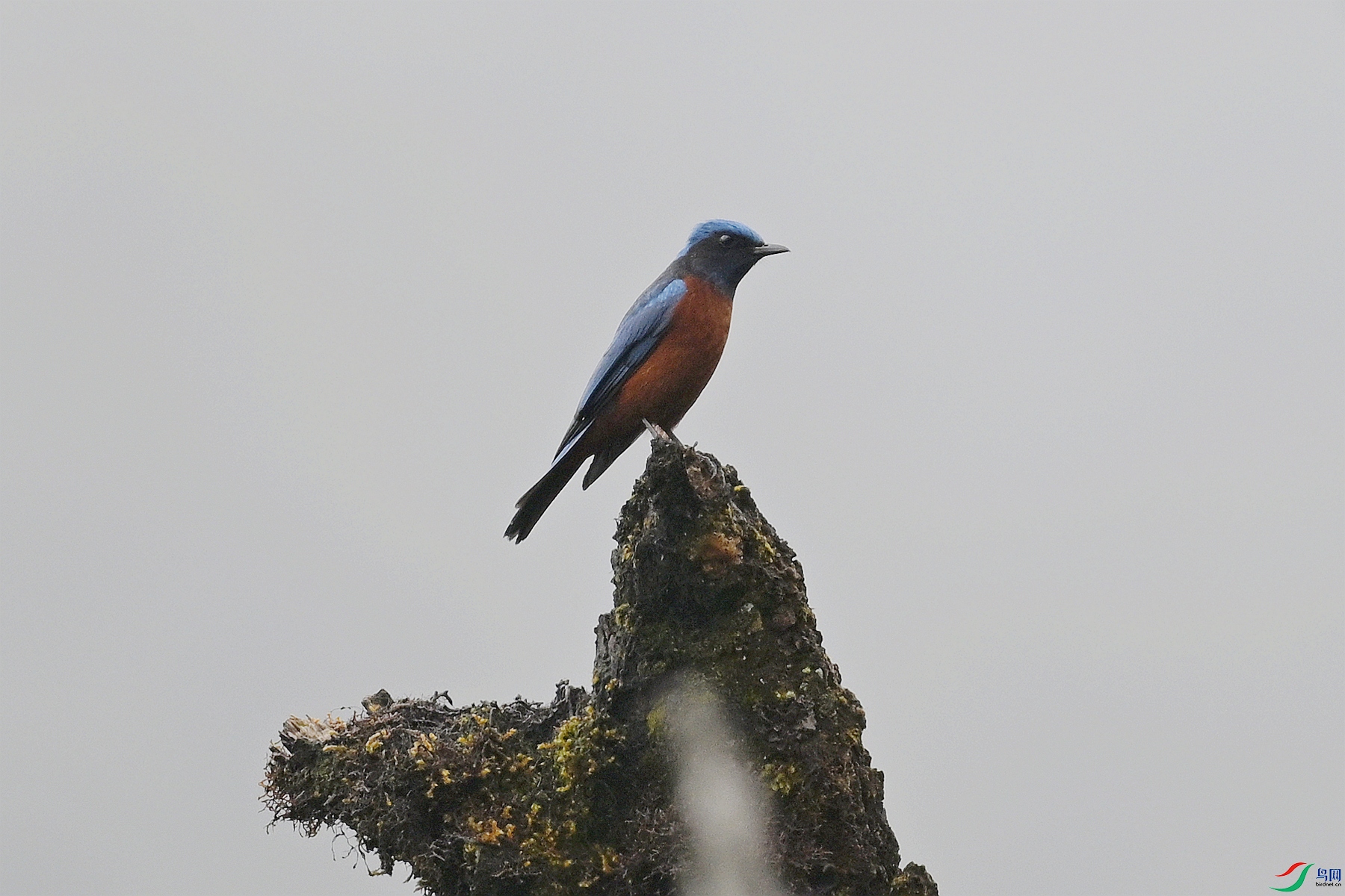 DSC_1965.JPG