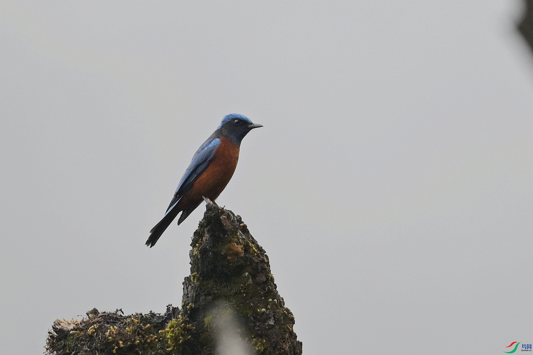 DSC_1966.JPG