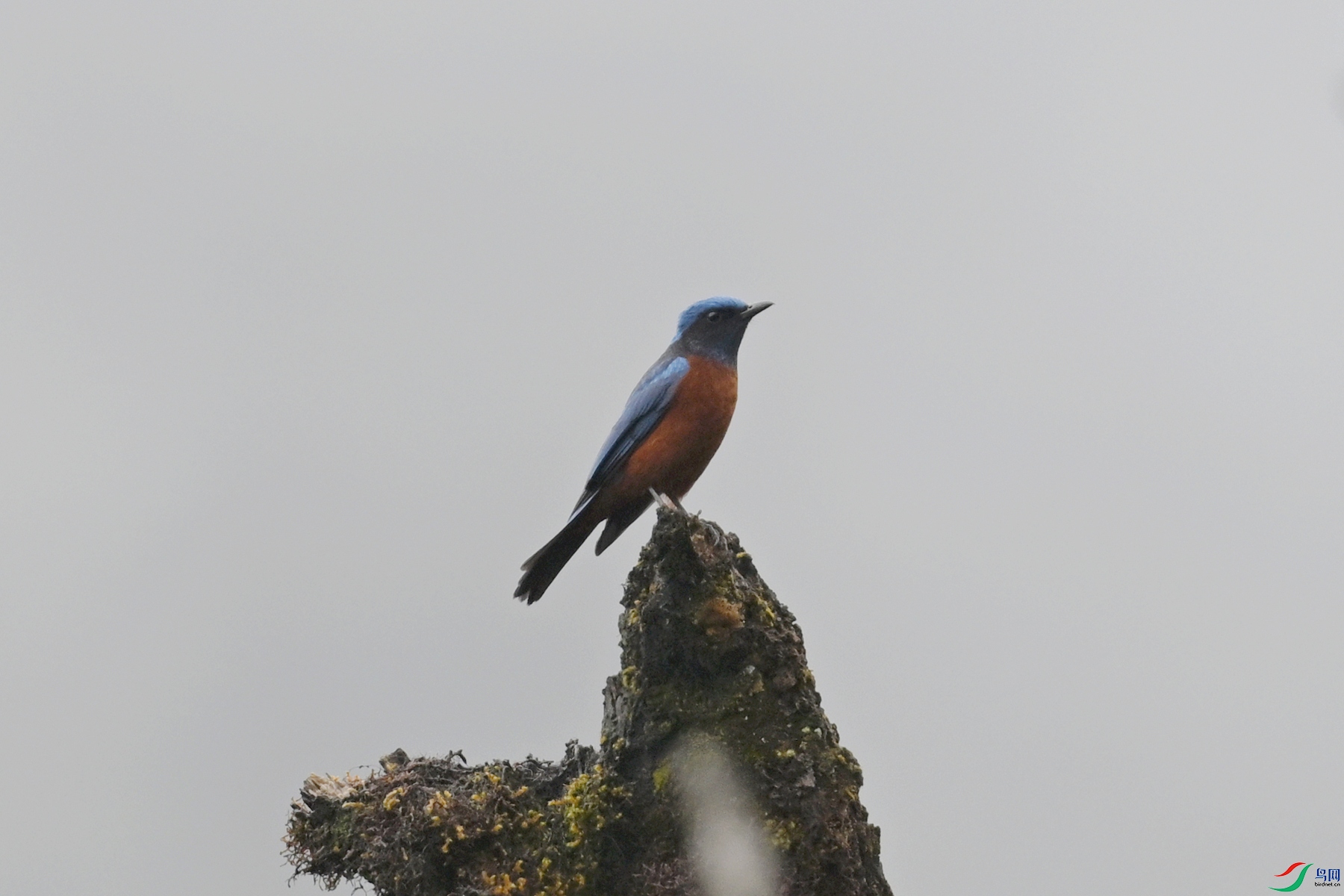 DSC_1968.JPG