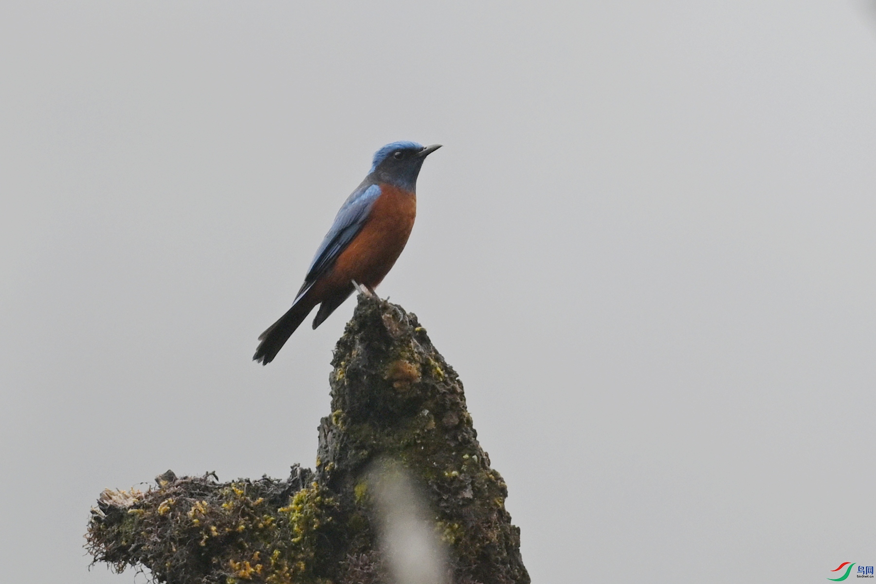 DSC_1969.JPG
