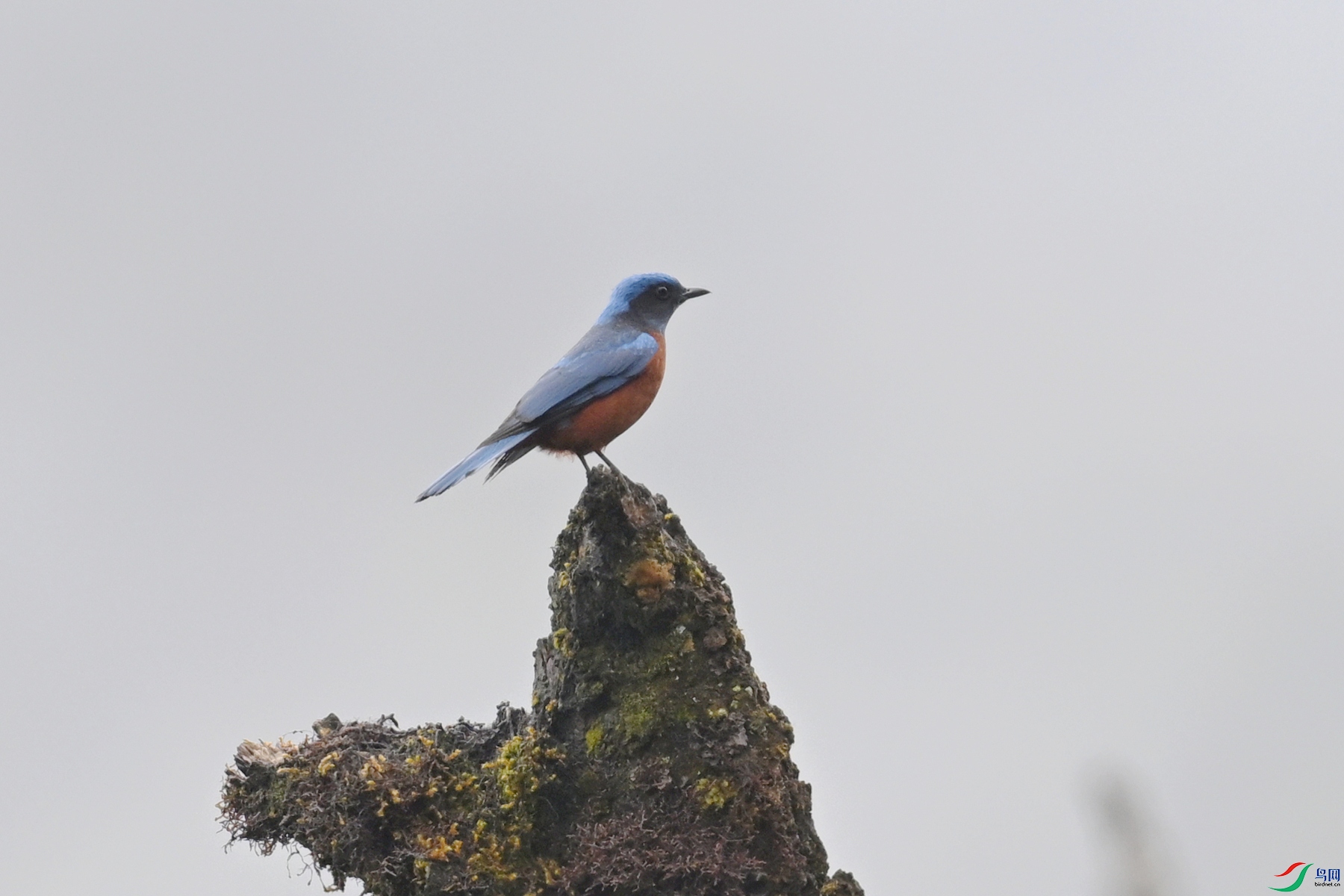 DSC_1972.JPG