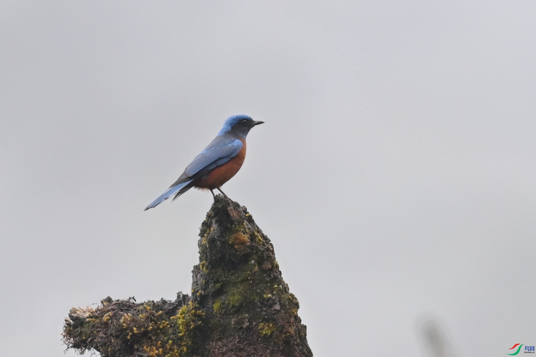 DSC_1973.JPG