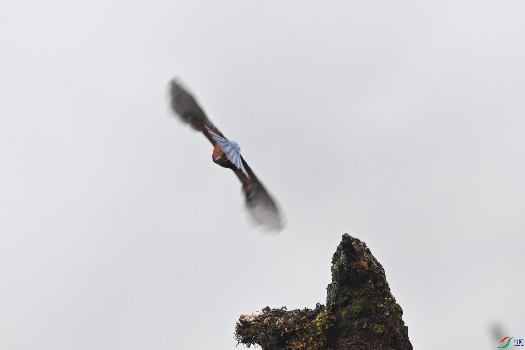 DSC_1975.JPG