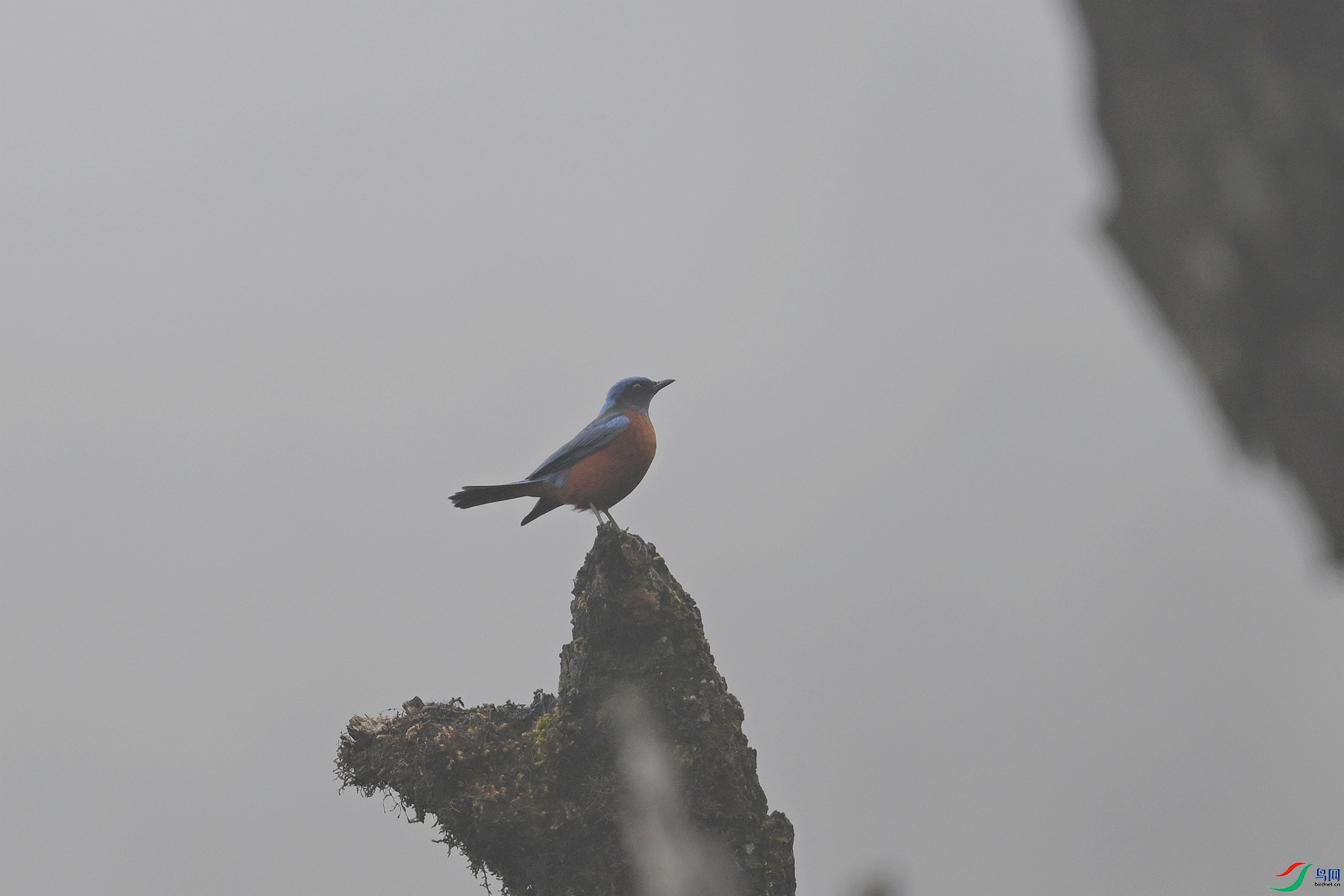 DSC_1954.JPG