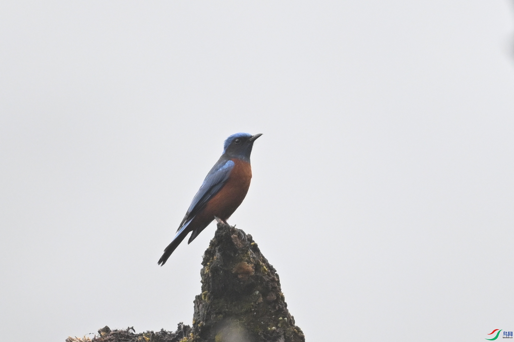 DSC_1958.JPG