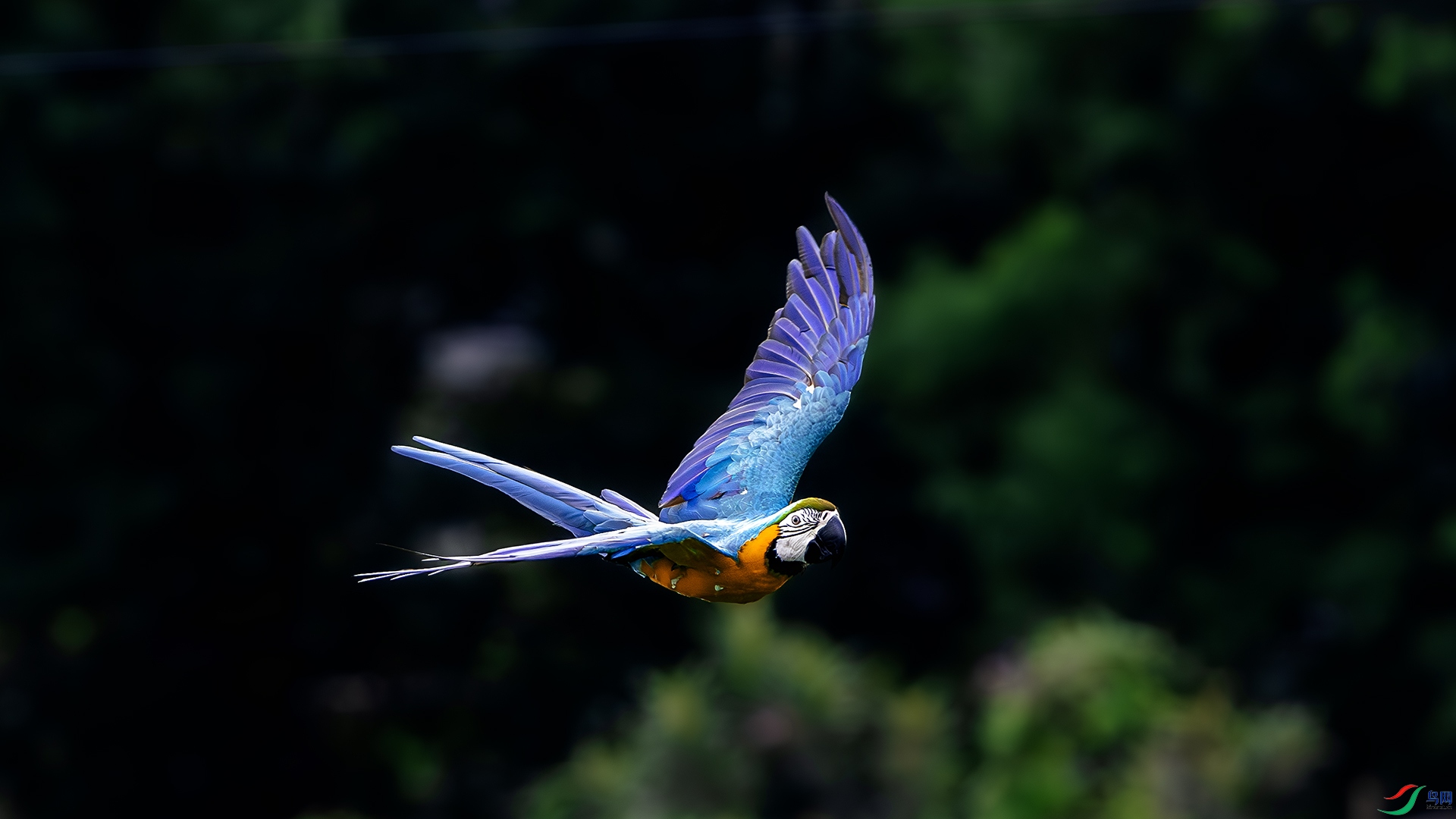 DSC_9259-����ǿ-NR ����.jpg