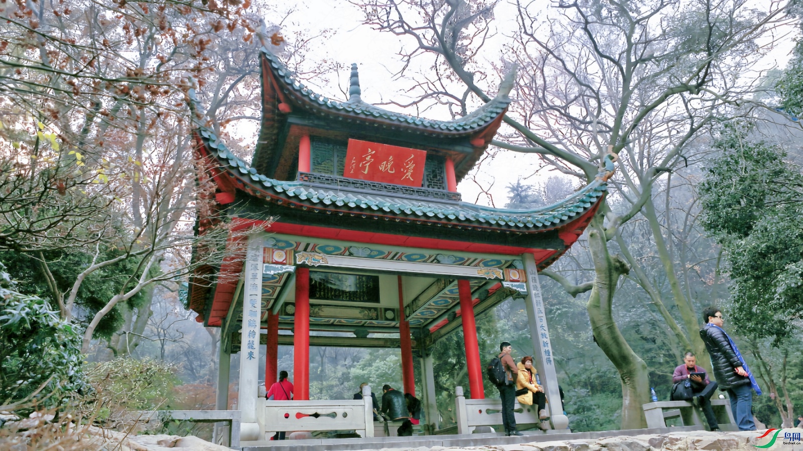 PP1A5281_����.jpg