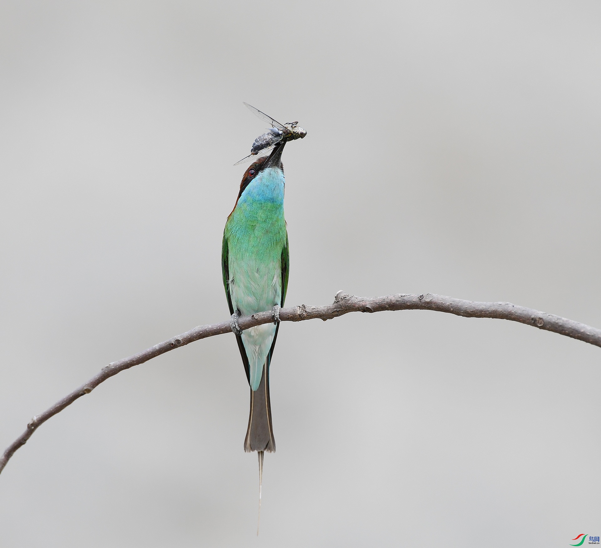 DSC_2964.jpg