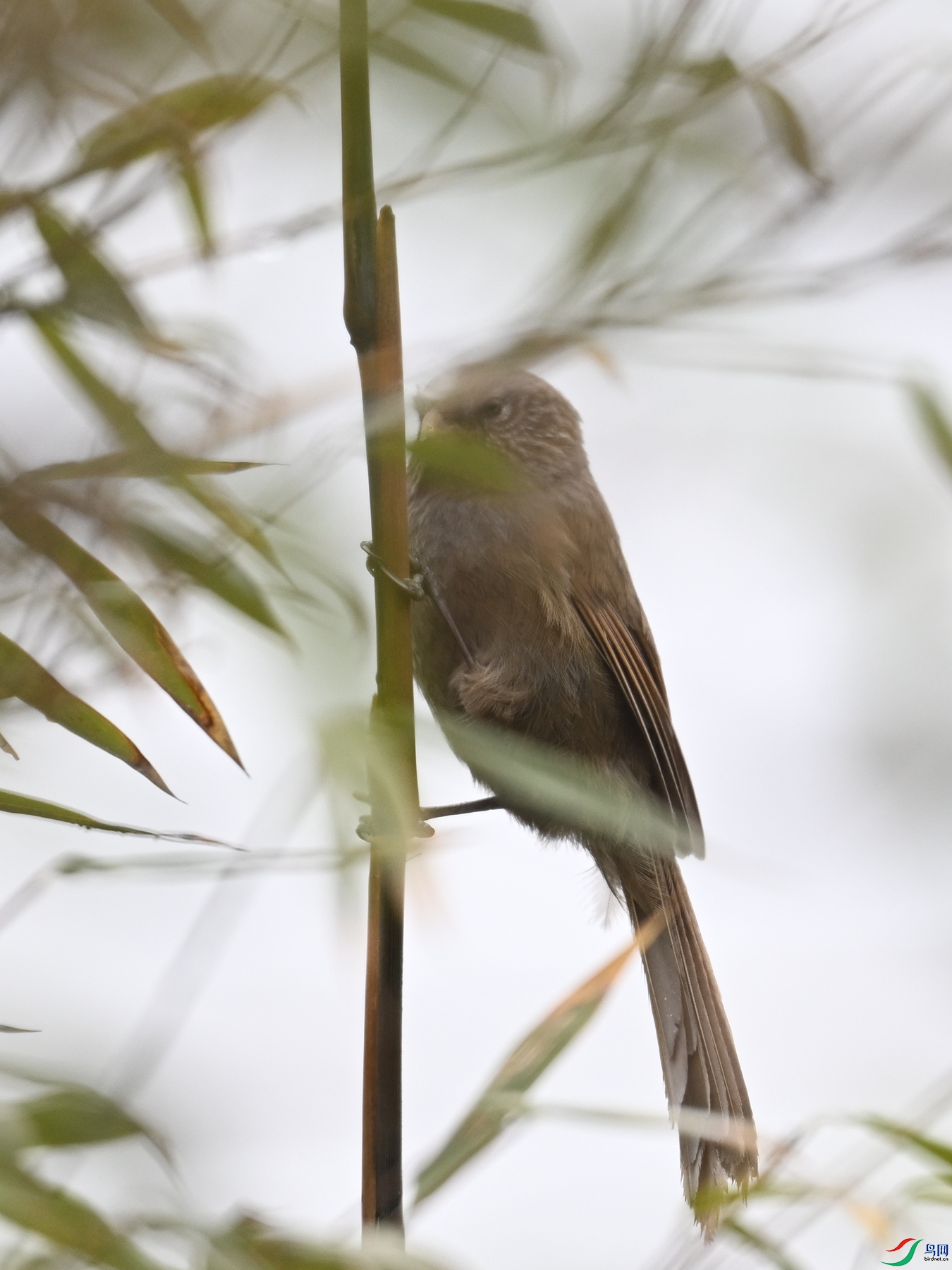DSC_2031.JPG