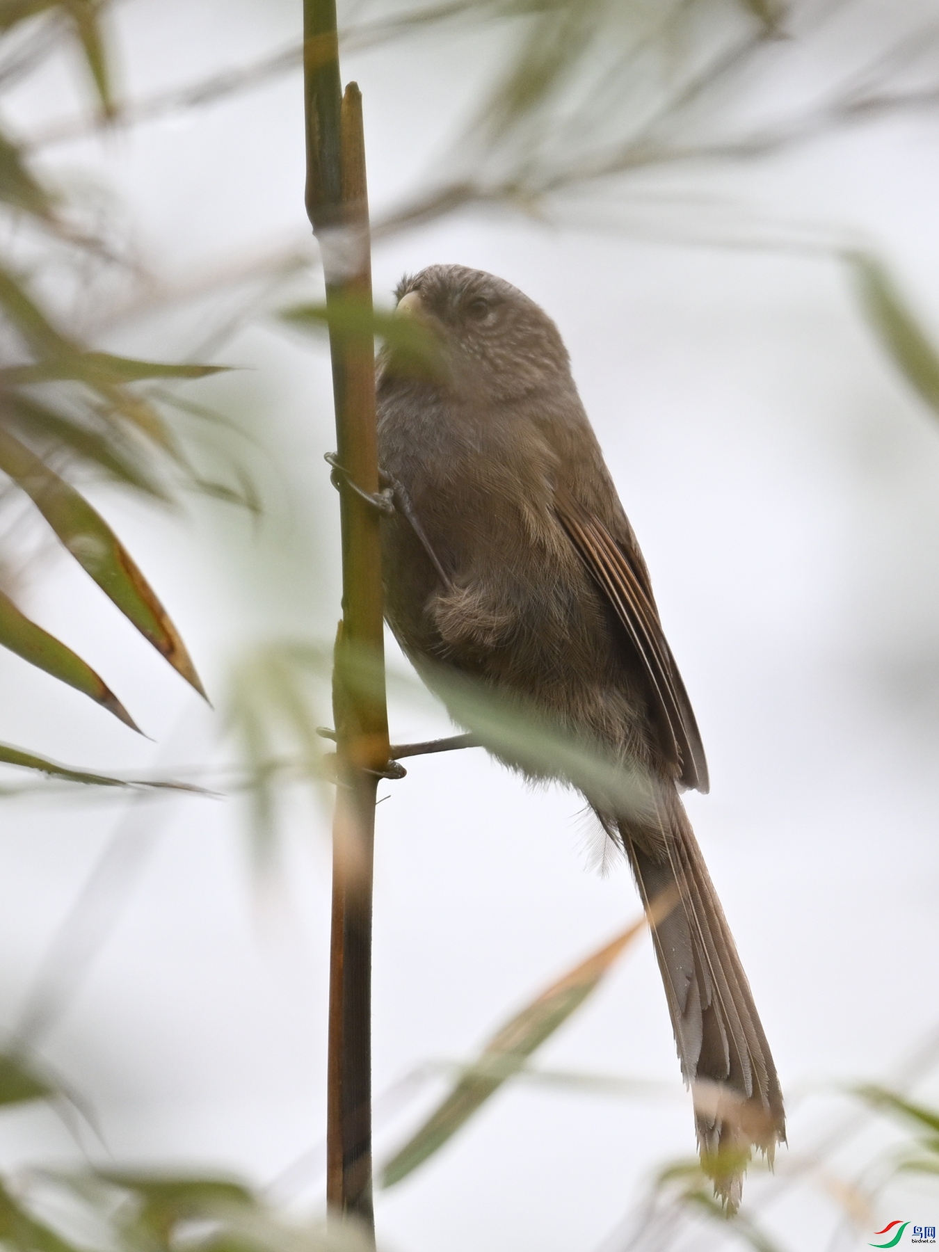 DSC_2028.JPG