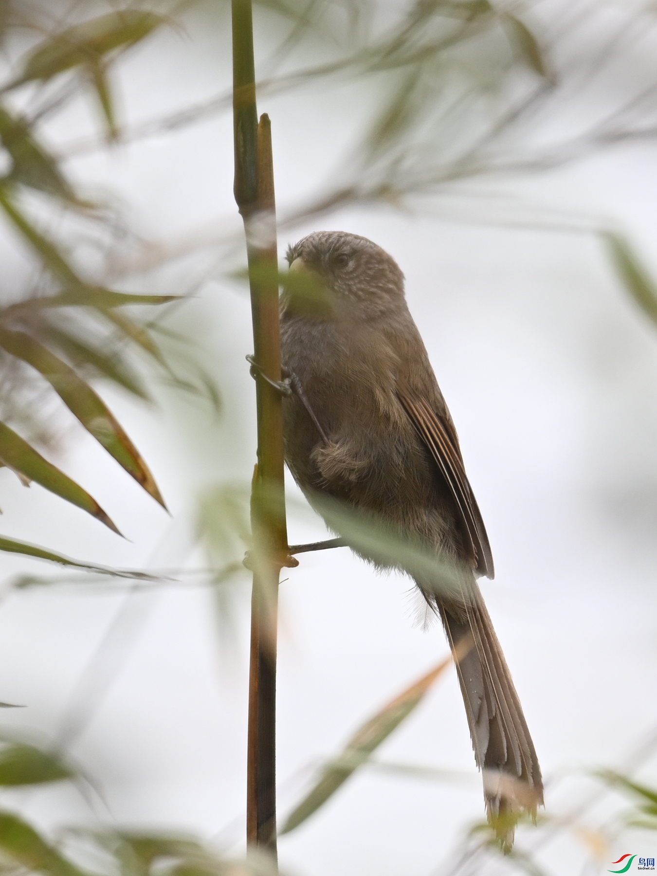 DSC_2029.JPG