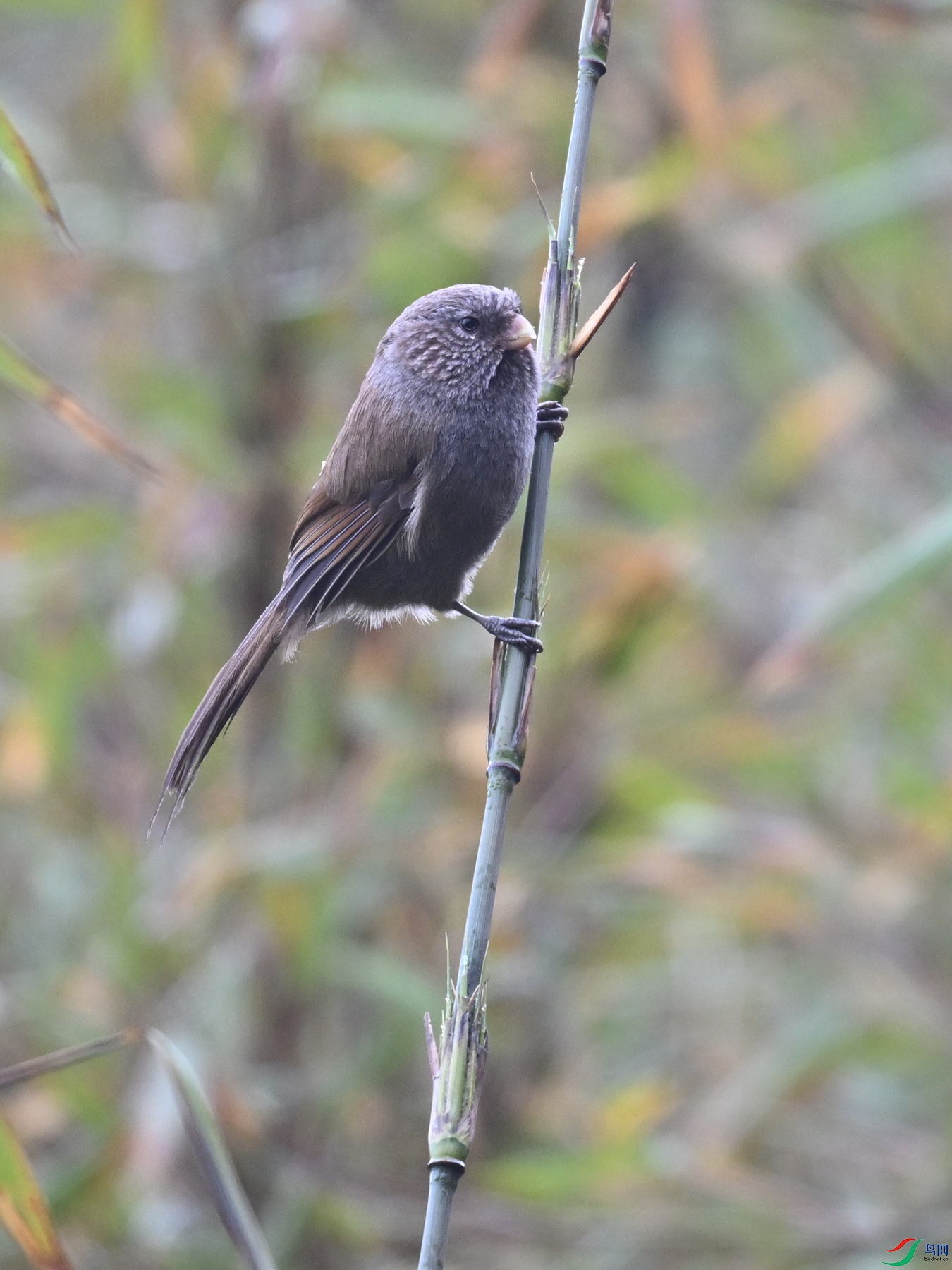 DSC_2020.JPG