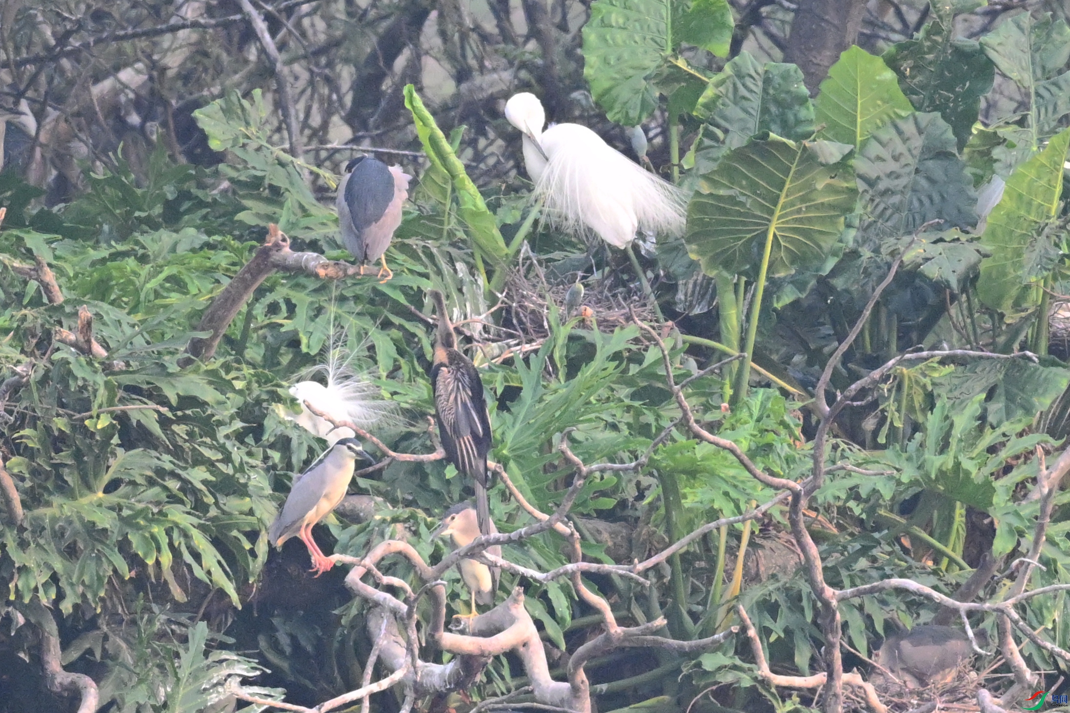DSC_6234.JPG
