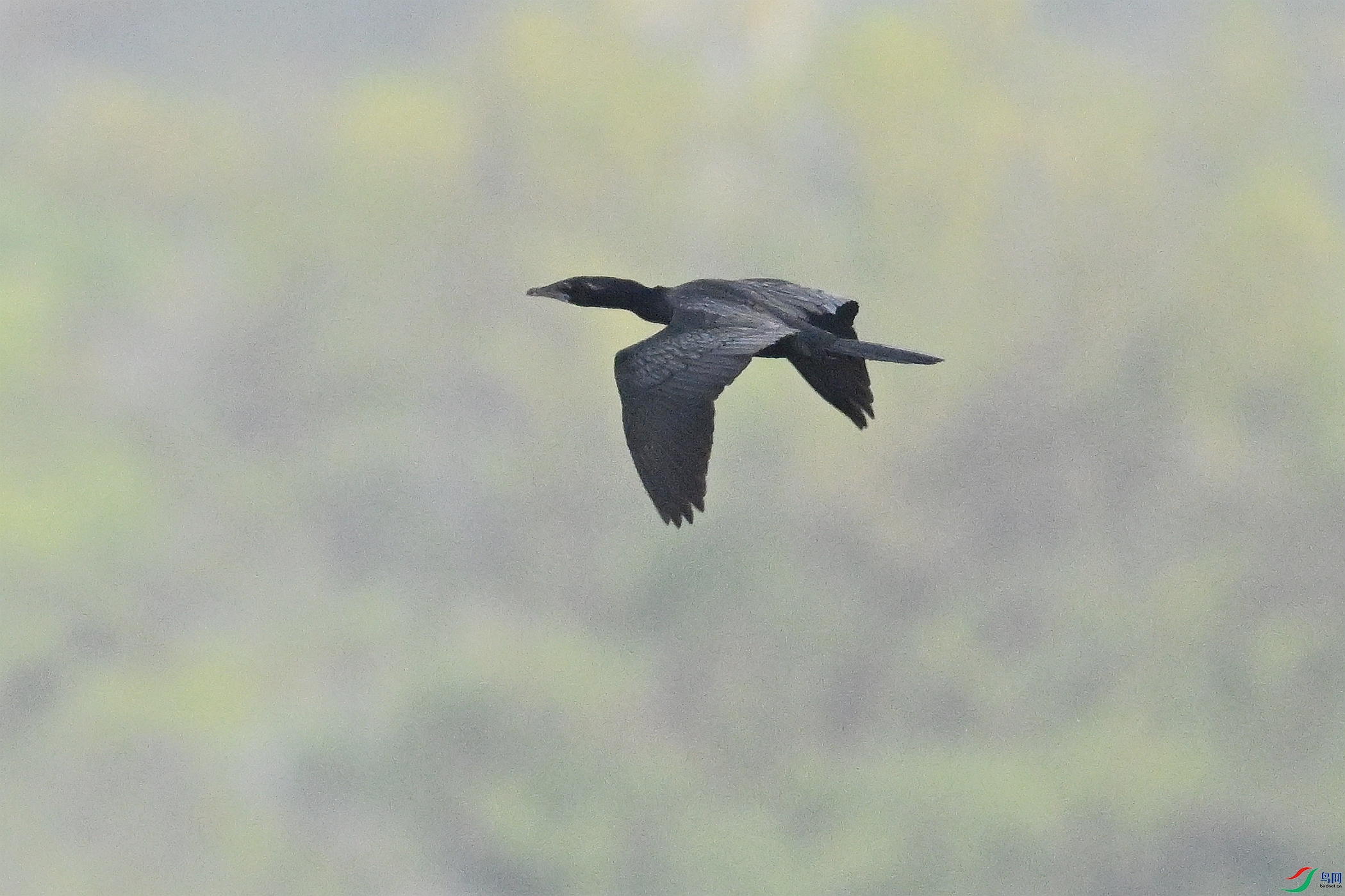 DSC_6221.JPG