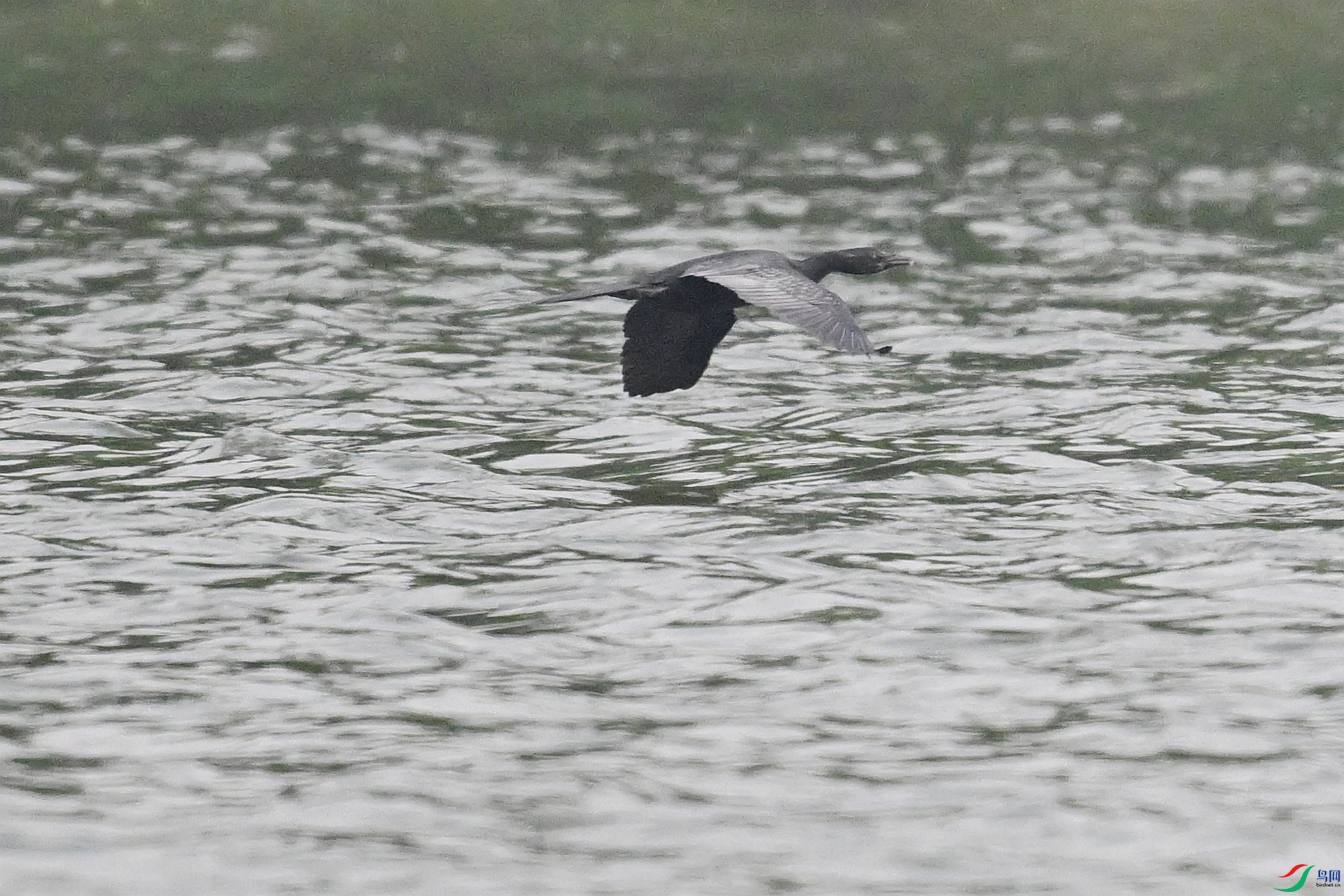 DSC_6228.JPG