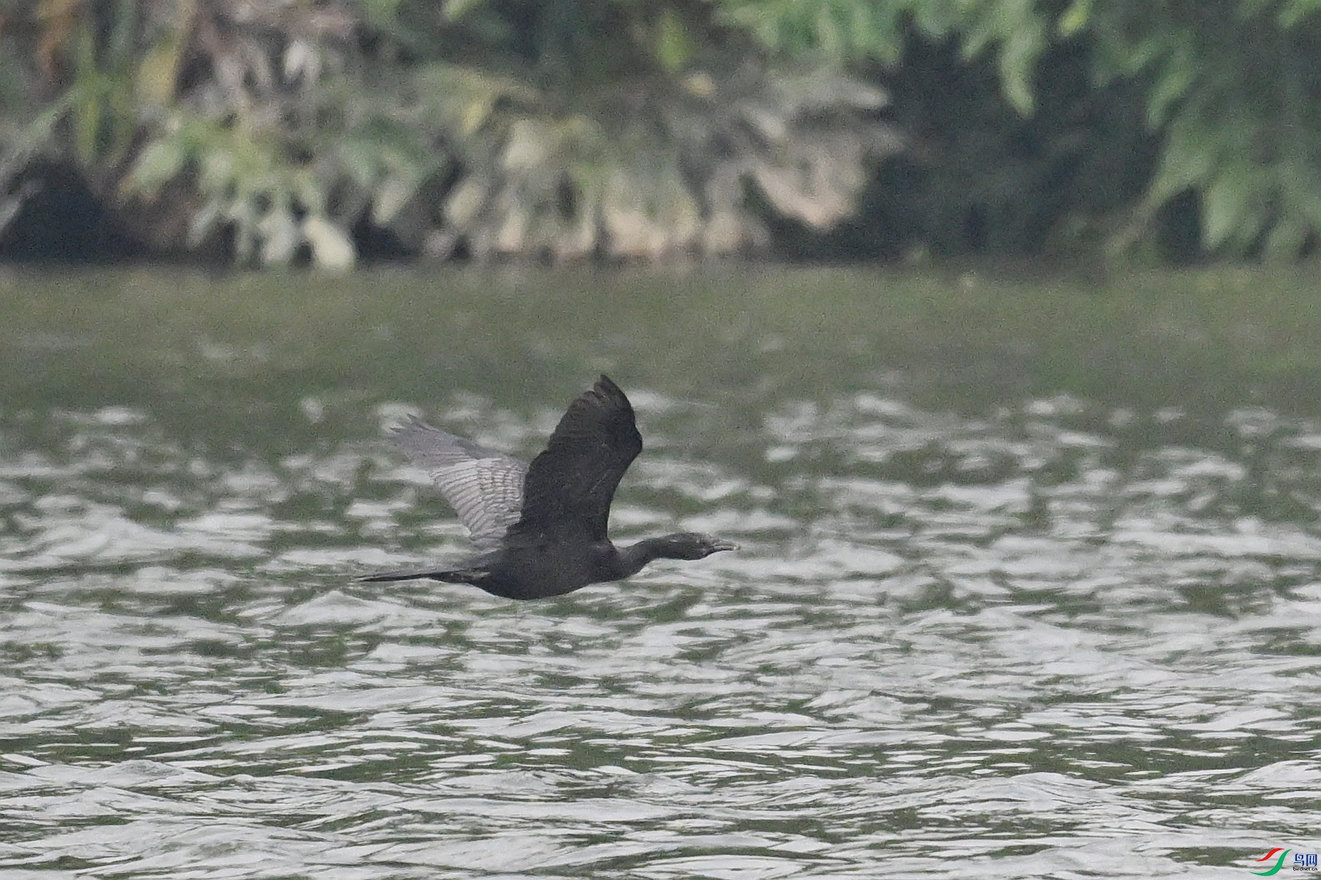 DSC_6230.JPG