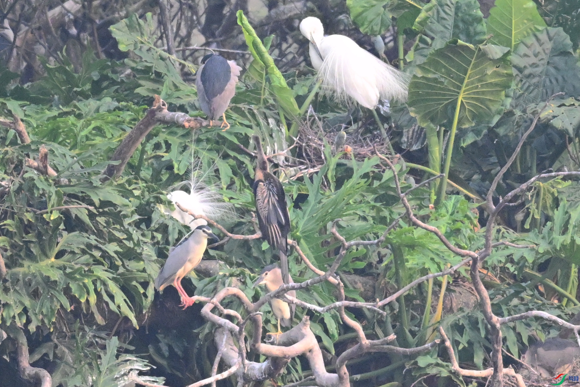 DSC_6233.JPG