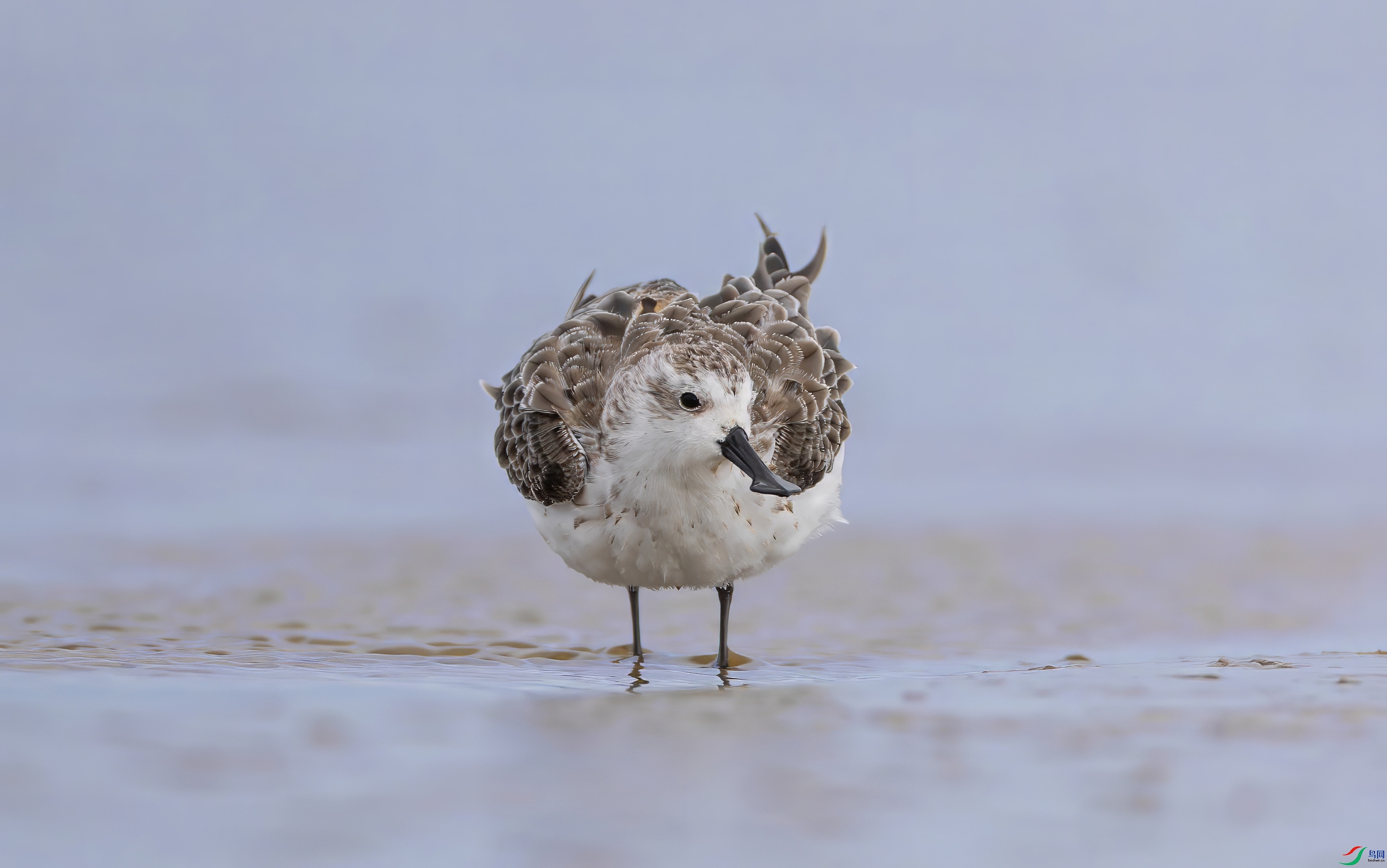 0L0A1436-topaz-denoise.jpeg
