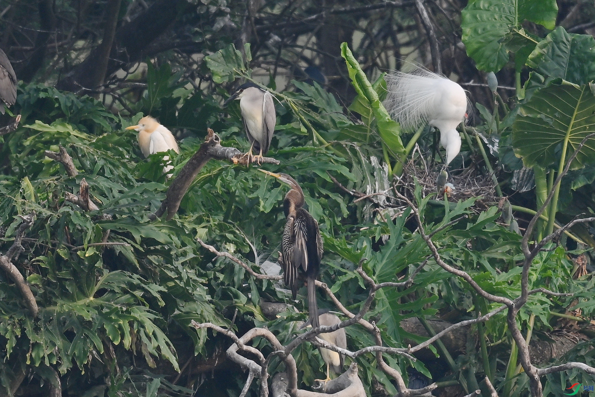 DSC_6256.JPG